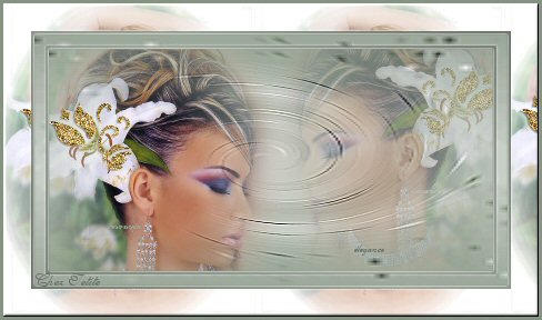adresse msn de filles sexy